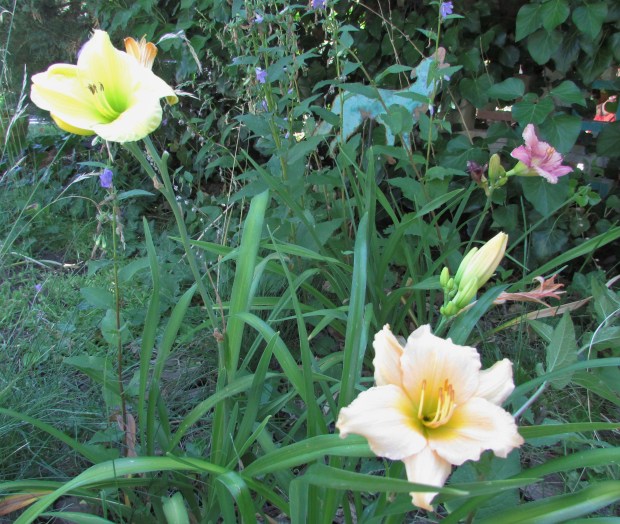 MiniPearl11.7.17wStephanieandIsaac