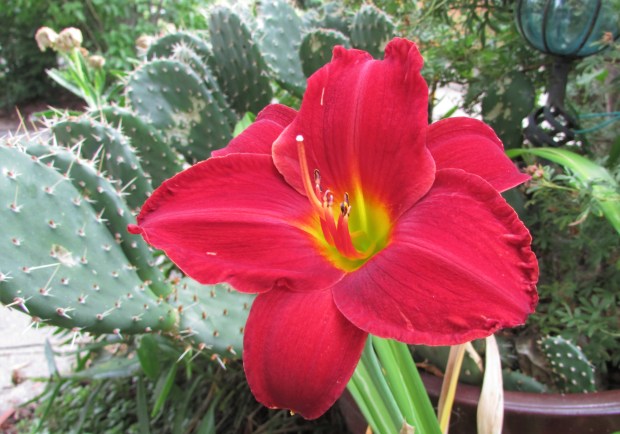 ApacheUprising13.8.8