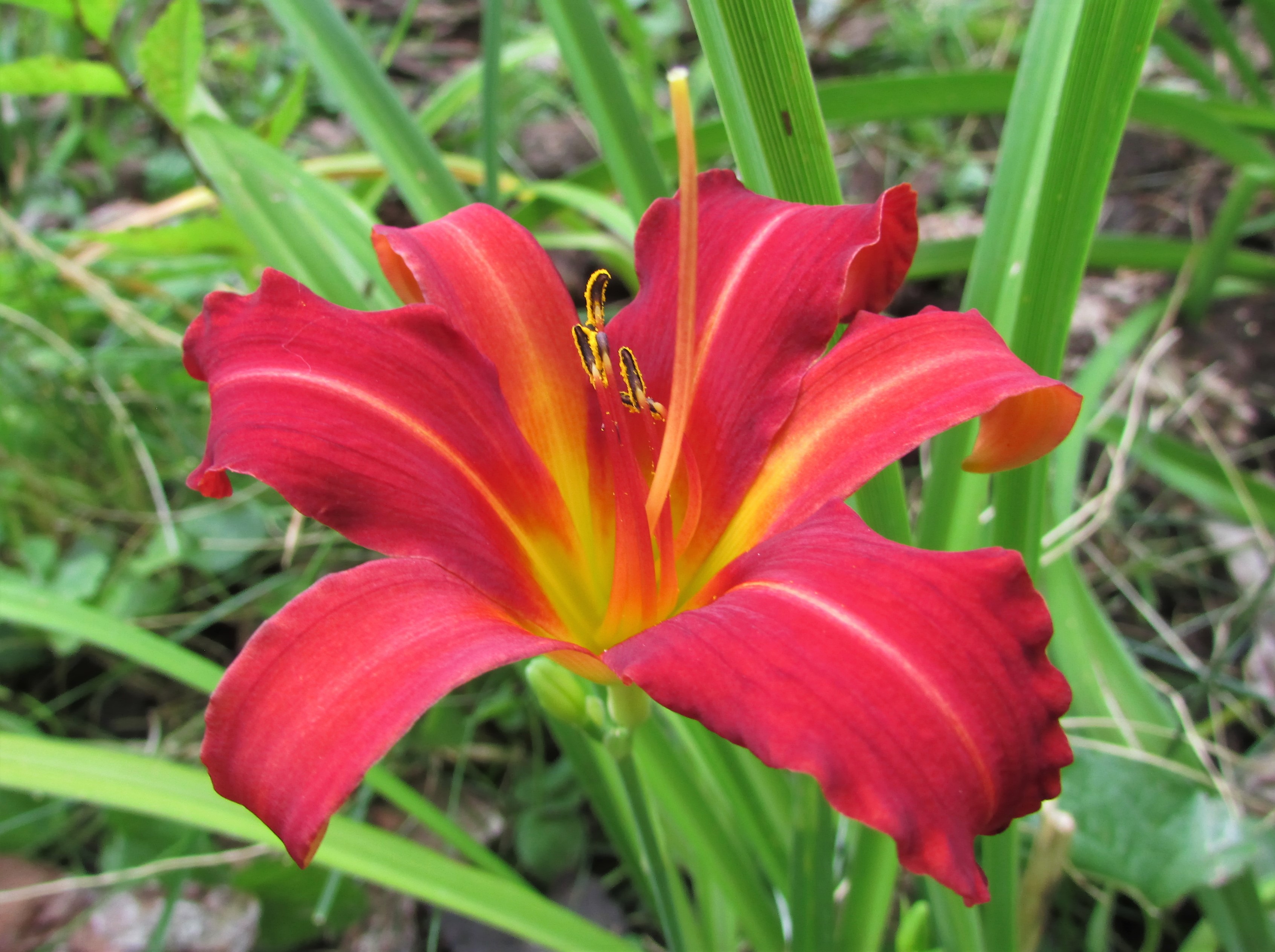 HeirloomHeaven1.8.16