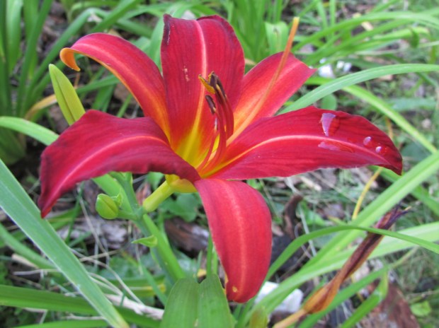 HeirloomHeaven8.8.19