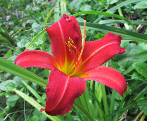 HeirloomHeaven19.9.1