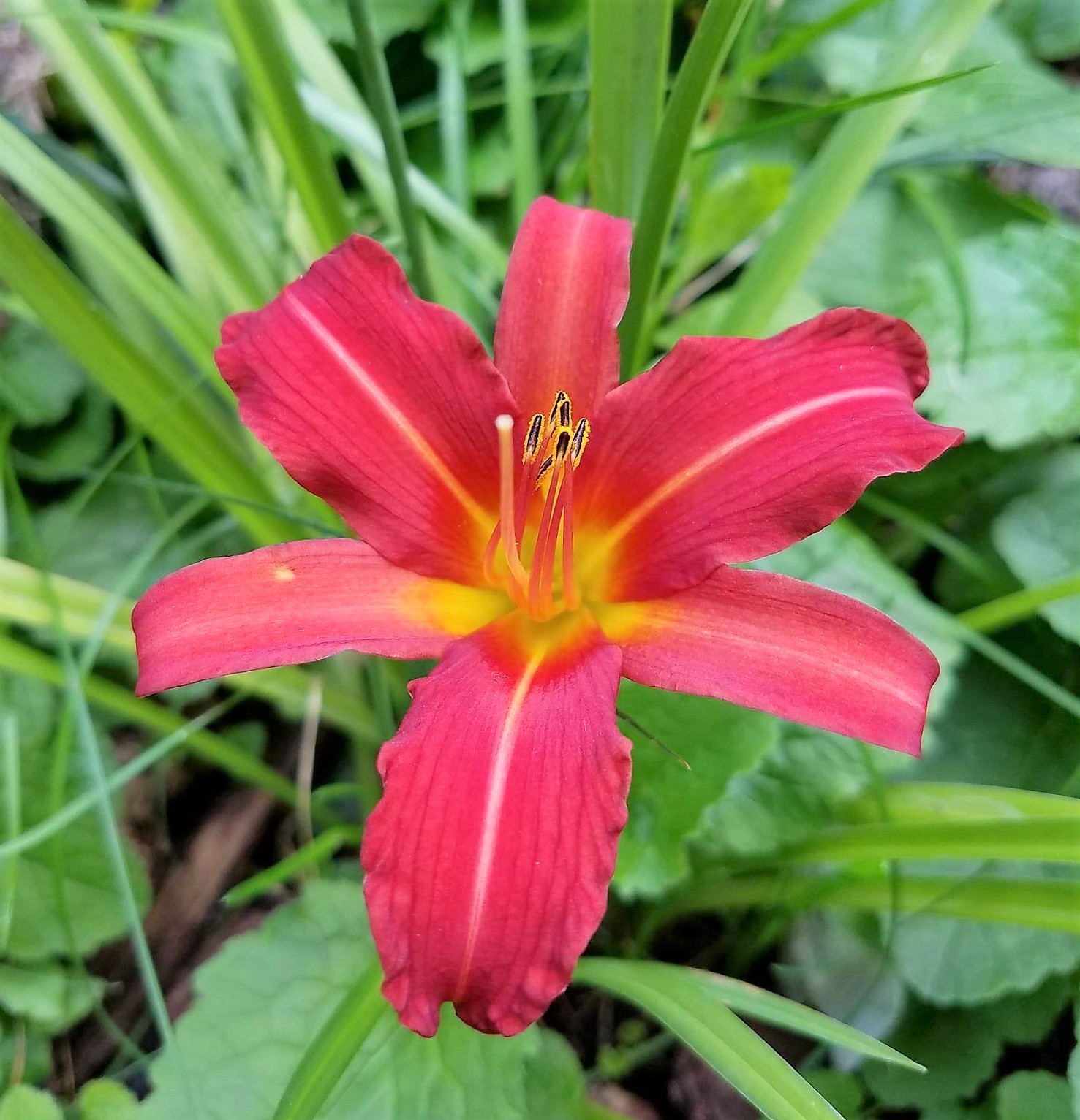 HeirloomHeaven21.9.4