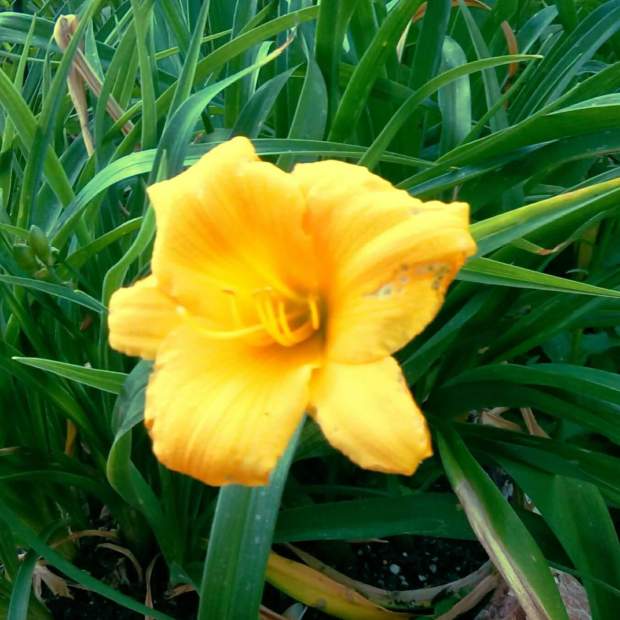 FB_IMG_1496898122269