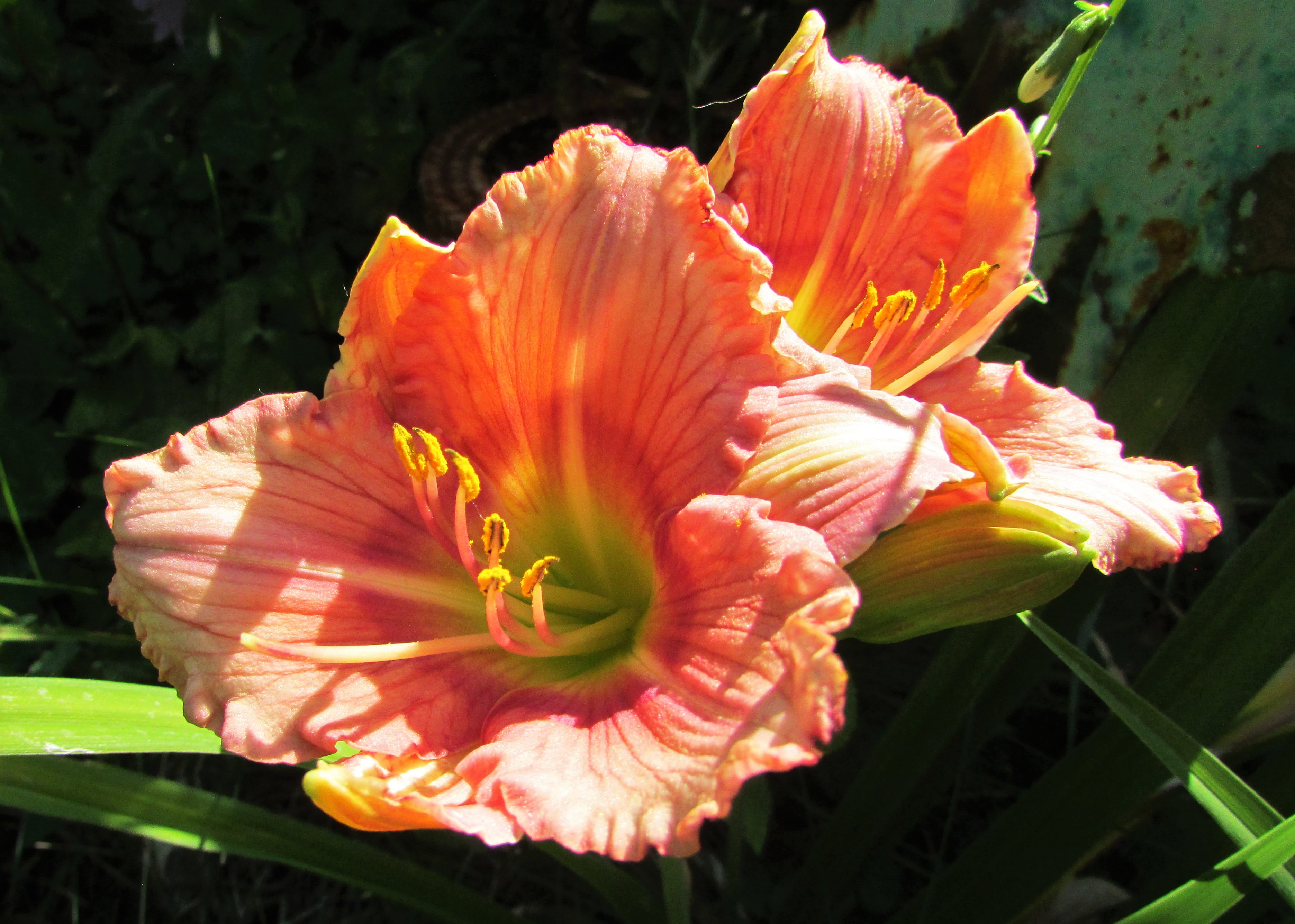 StephanieReturns3.6.27