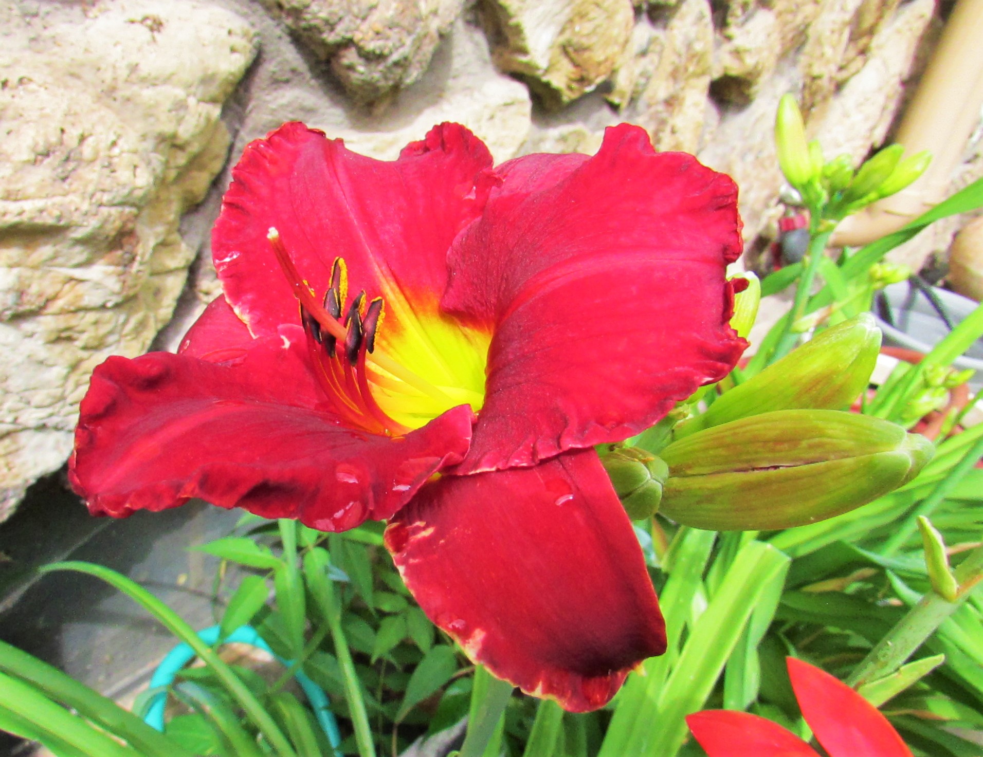 FunnyValentine6.17.1