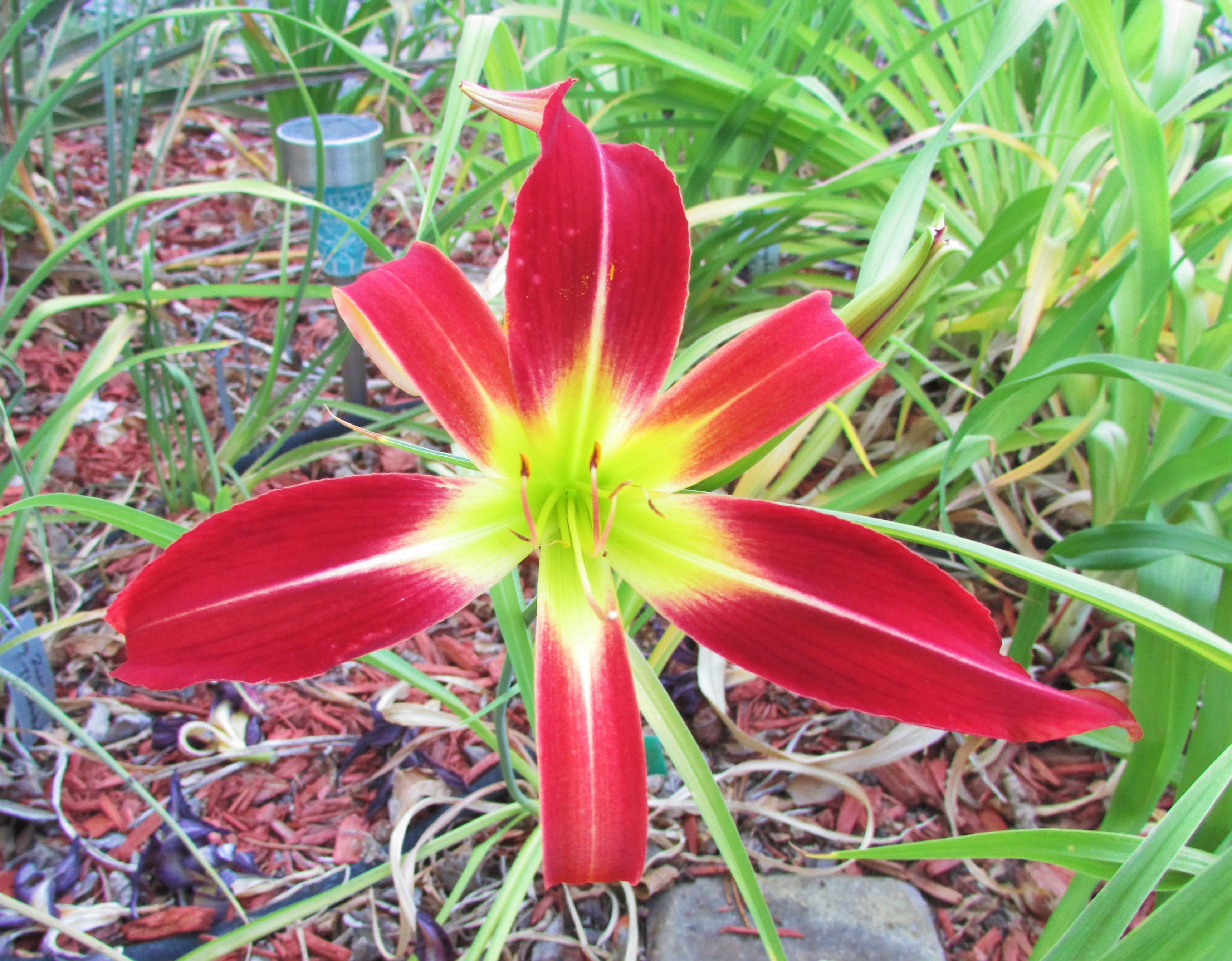 EchoCanyon7.6.2.jpg