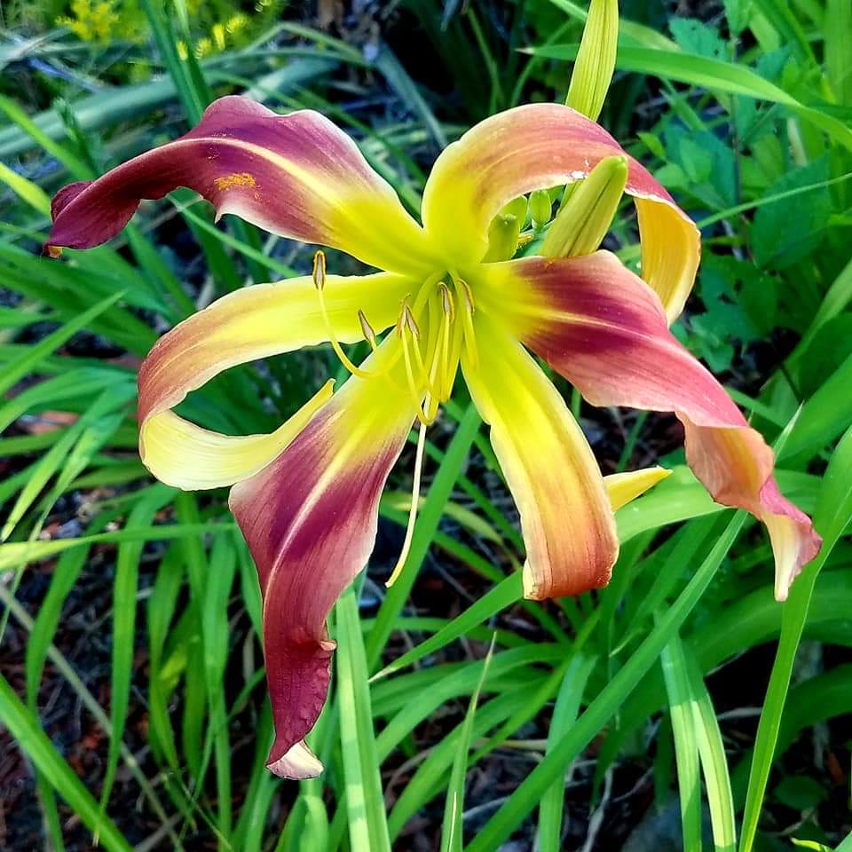 facebook_1564639533959