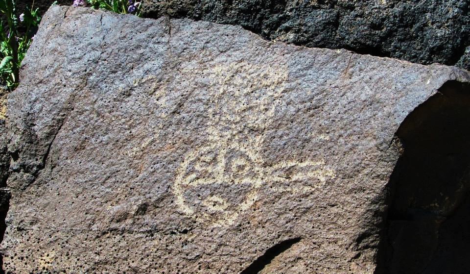 10013916_10152043180281239_1427536420_n