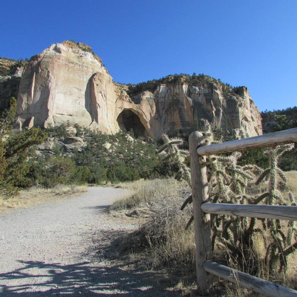 1012949_10152043197541239_764486050_n