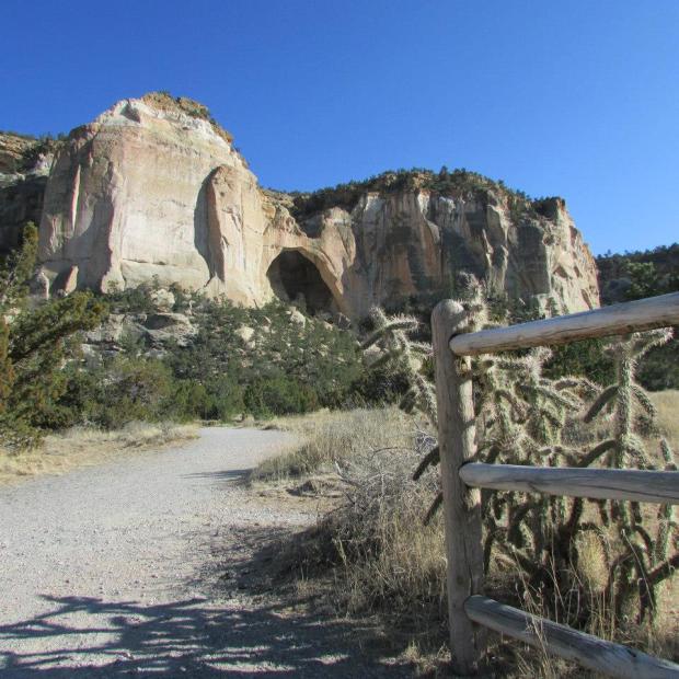 1012949_10152043197541239_764486050_n