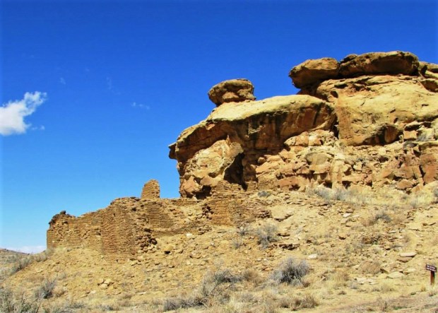 1975011_10152043139786239_1938504789_n