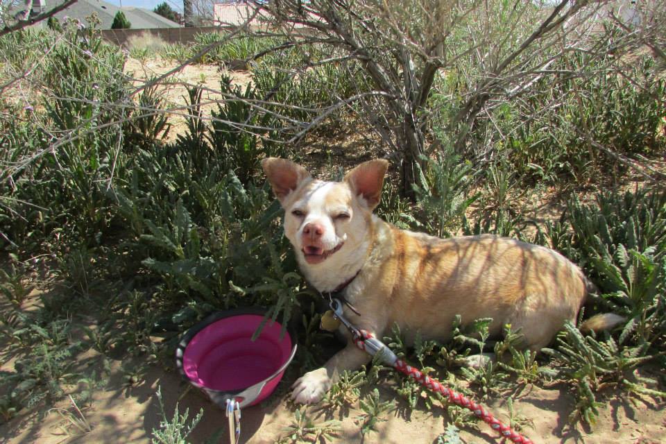 1977390_10152043181046239_240939346_n