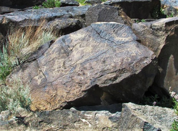 971072_10152043179631239_1553673115_n